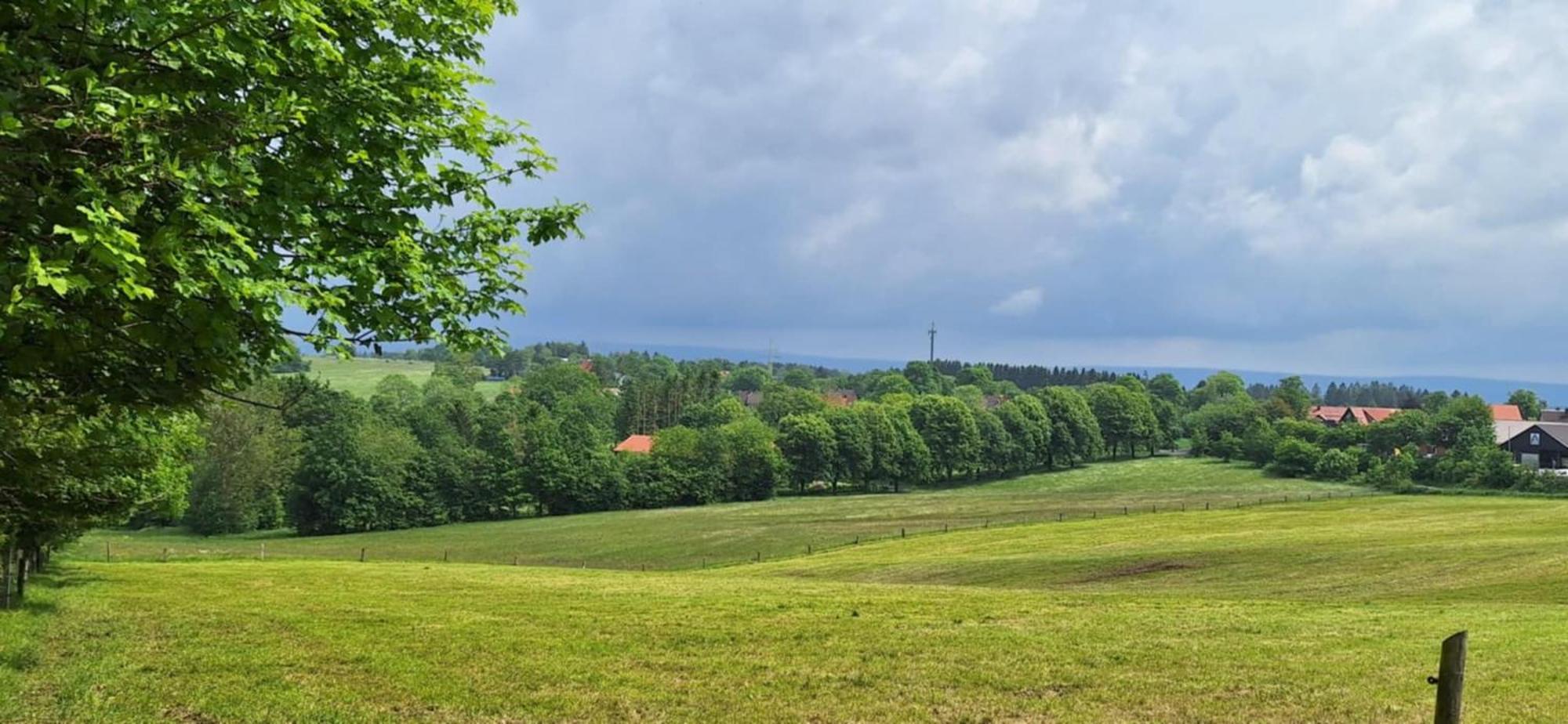 Mai-Ferienhaus-Harz 210Qm Clausthal-Zellerfeld Buitenkant foto