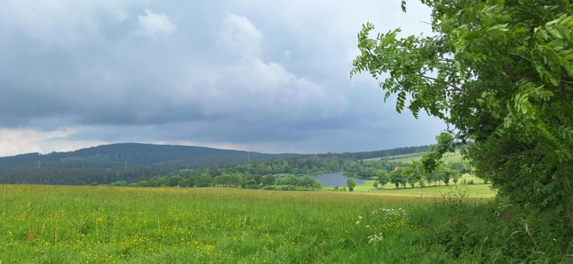 Mai-Ferienhaus-Harz 210Qm Clausthal-Zellerfeld Buitenkant foto